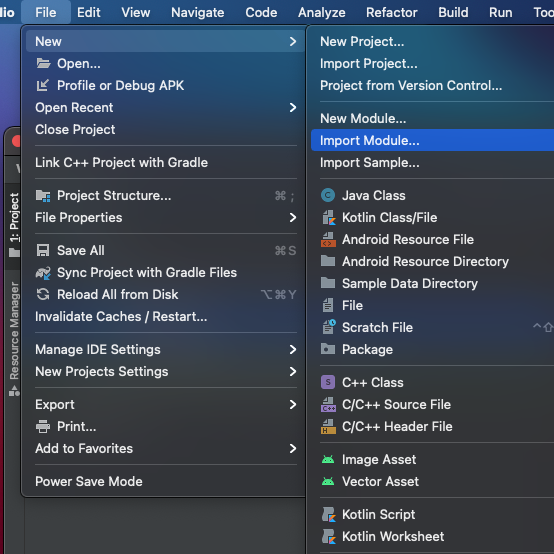 Android Studio import Storm module